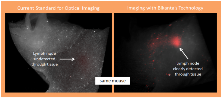 How nanodiamonds are able to locate a lymph node in a mouse that today's technology could not detect