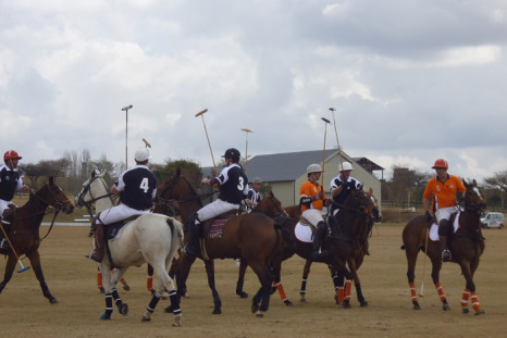 Some members of the South African Polo Association and their riders