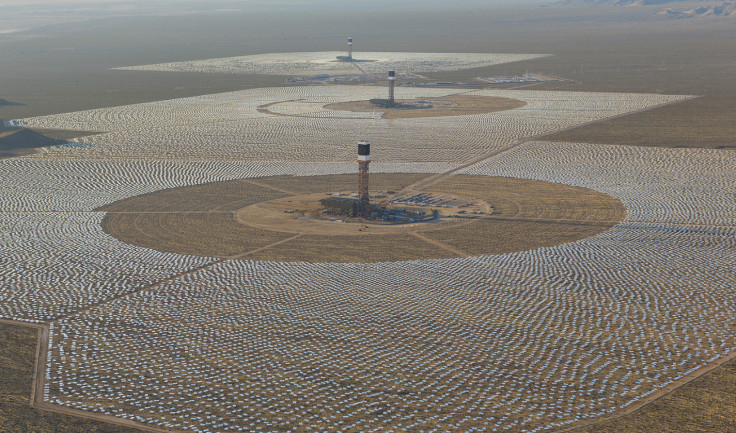 The $2.2bn solar energy plant at Ivanpah Dry Lake in California has inadvertently turned into a death trap for birds