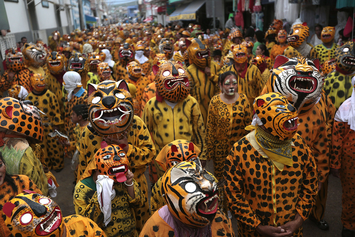 leopard festival