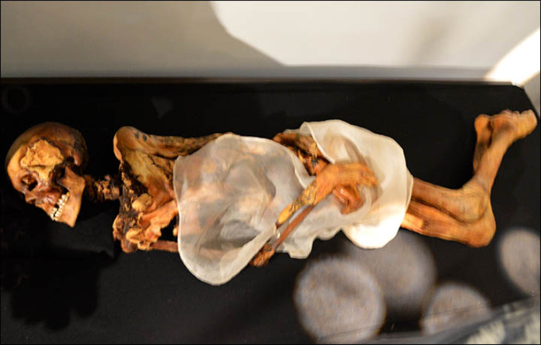 The mummy of Princess Ukok, an ancient Siberian mummy discovered on the Altai Mountains