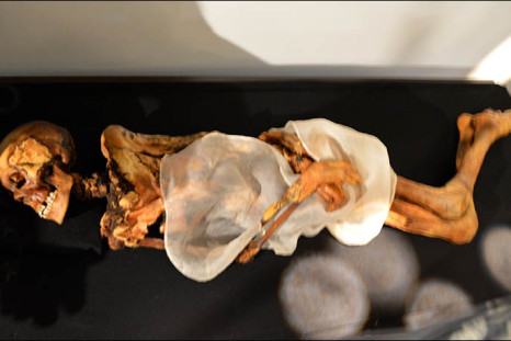 The mummy of Princess Ukok, an ancient Siberian mummy discovered on the Altai Mountains