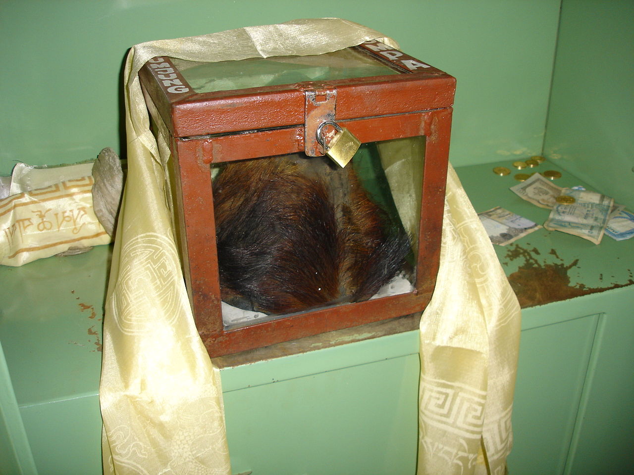Many believe this to be an authentic Yeti scalp at Khumjung monastery, Nepal Many believe this to be an authentic Yeti scalp at Khumjung monastery, Nepal