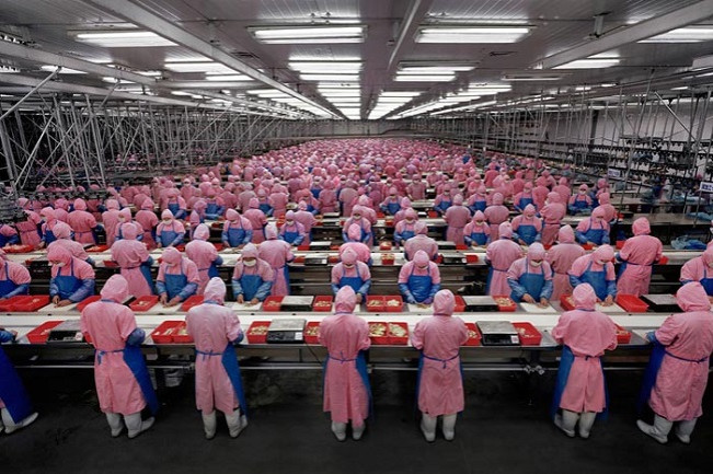 Human farms Human farms