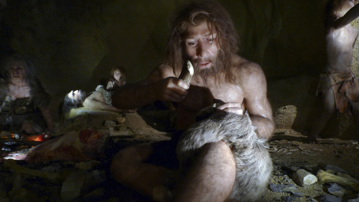 NEANDERTHAL.EXHIBIT NEANDERTHAL.EXHIBIT