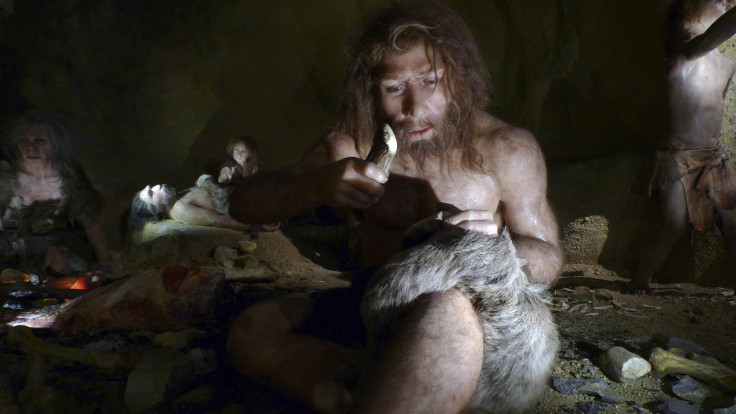 NEANDERTHAL.EXHIBIT