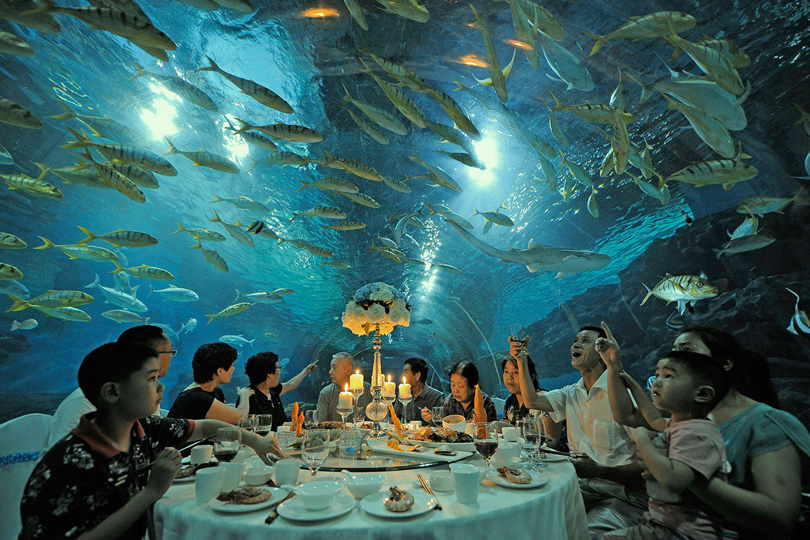 aquarium restaurant