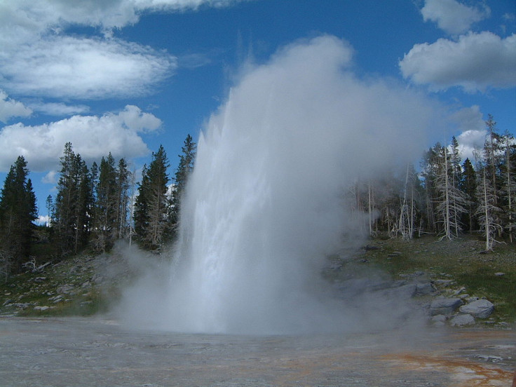 Yellowstone