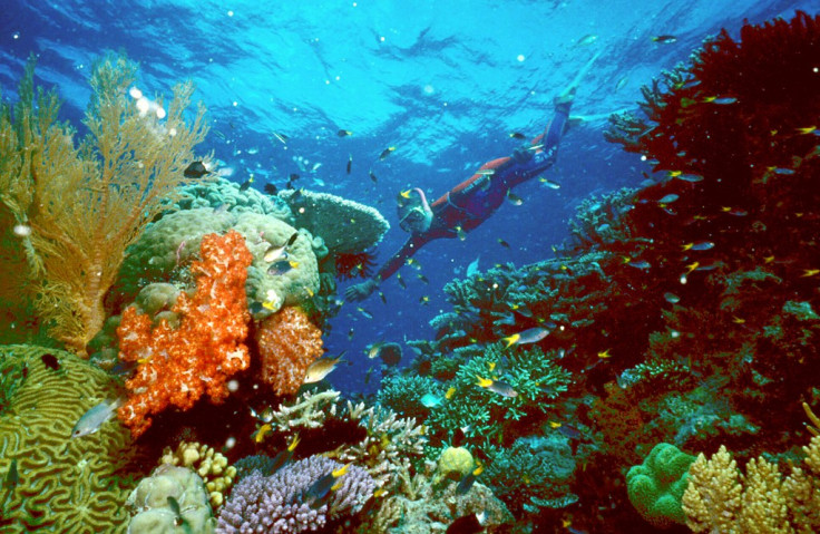 Great Barrier Reef Australia