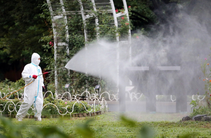 Yoyogi park Tokyo dengue fever