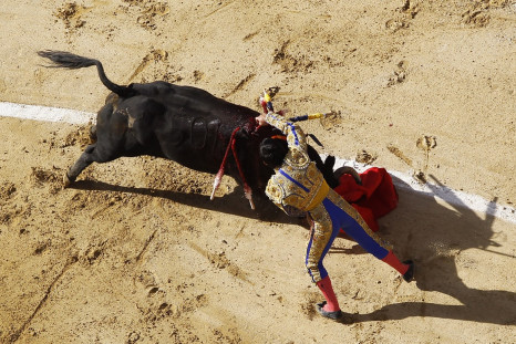 Bull fighting in Bogota is back after ban was lifted by constitutional court in Colombia