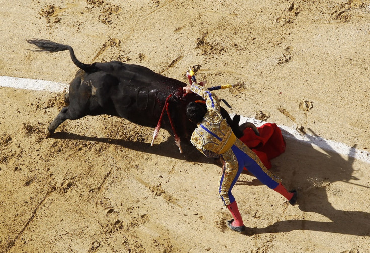 Bull fighting in Bogota is back after ban was lifted by constitutional court in Colombia