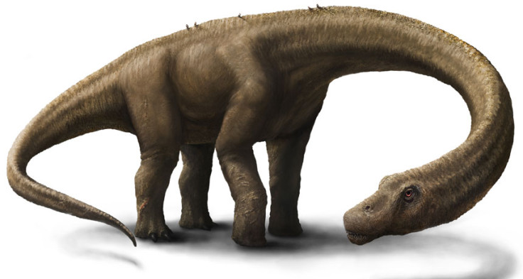 Dreadnoughtus