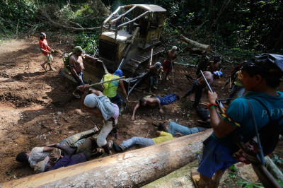 Amazon Indians strip, tie up and beat illegal loggers