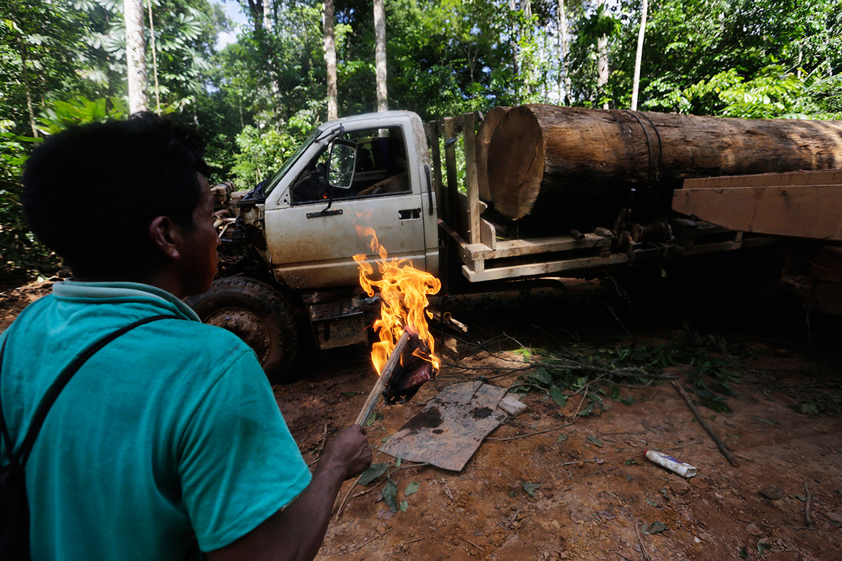 A Ka'apor man prepares to set fire to a logging truck