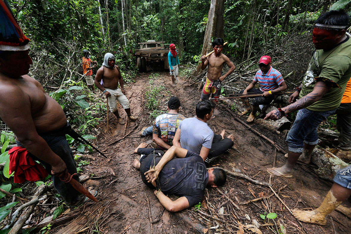 Amazon Indians strip, tie up and beat illegal loggers