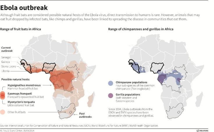 Ebola Outbreak