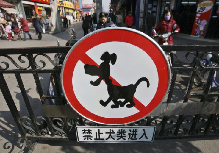China Rabies