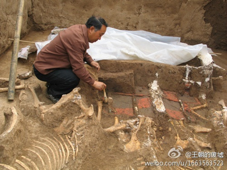 The tomb of Qin Shi Huang's grandmother has been discovered in Xi'an