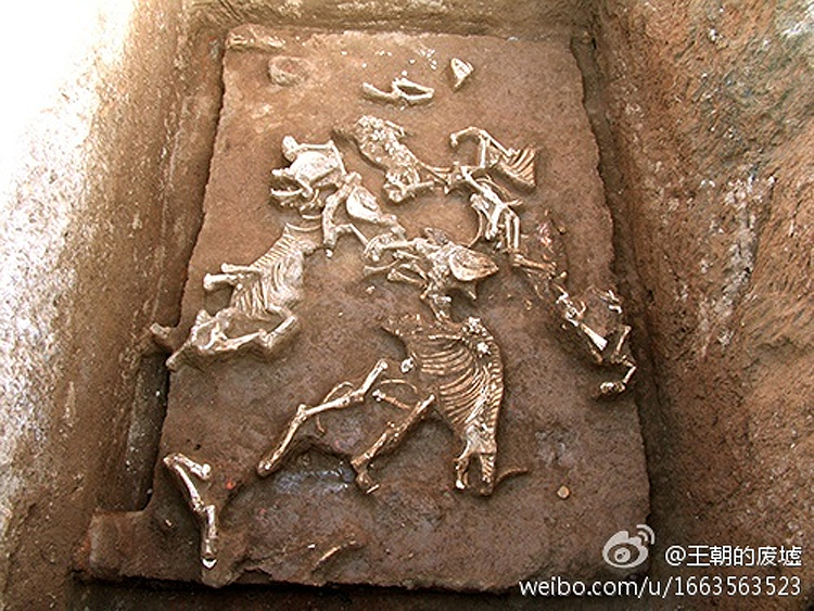 China: Ancient Tomb of First Emperor Qin Shi Huang's Grandmother ...