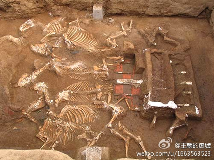 The tomb of Qin Shi Huang's grandmother has been discovered in Xi'an