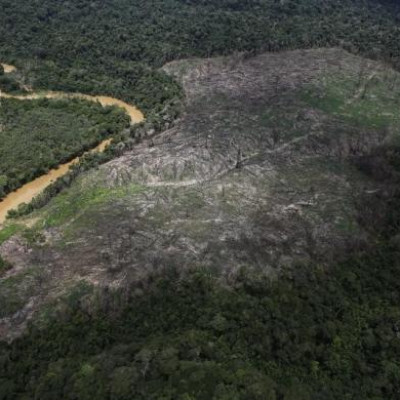 Brazil Amazon rainforest deforestation