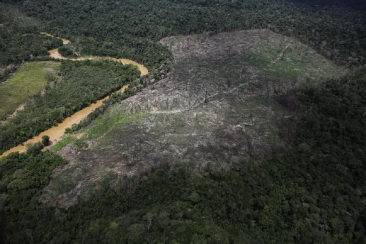 Brazil Amazon rainforest deforestation