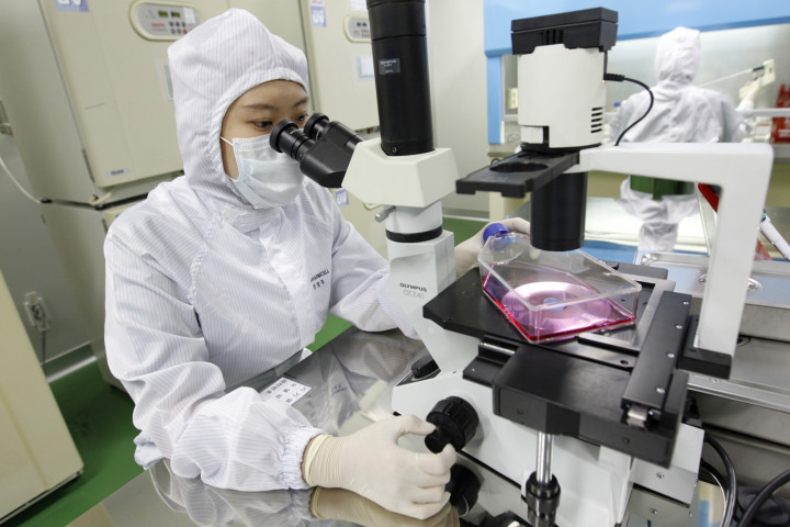 STEM.CELLS STEM.CELLS