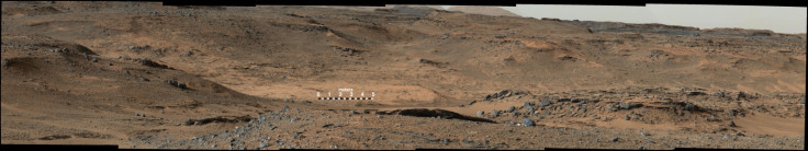 CURIOSITY.MARS