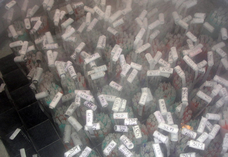 Frozen samples at a sperm bank (Getty)
