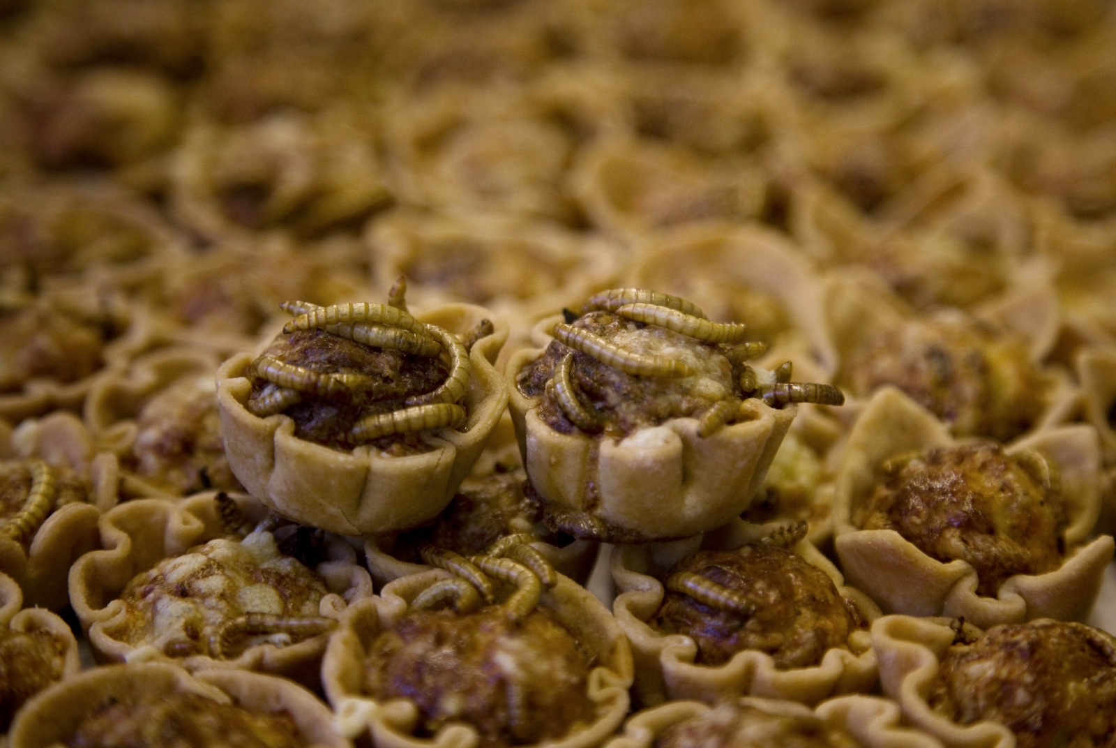 Mealworm Quiches