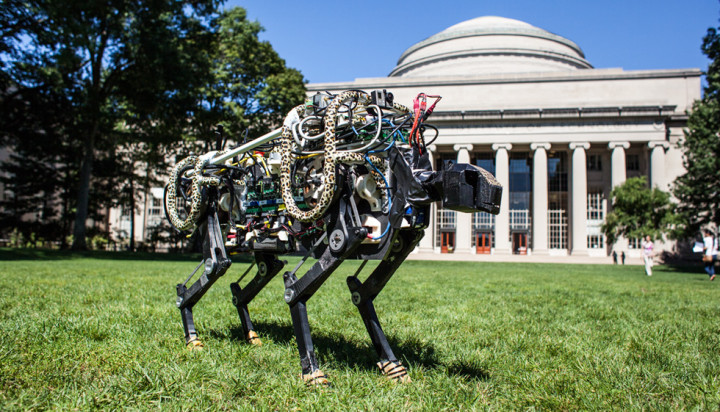 MIT.CHEETAH MIT.CHEETAH