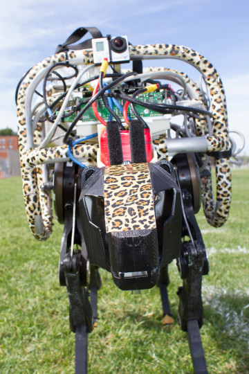 MIT.CHEETAH2 MIT.CHEETAH2