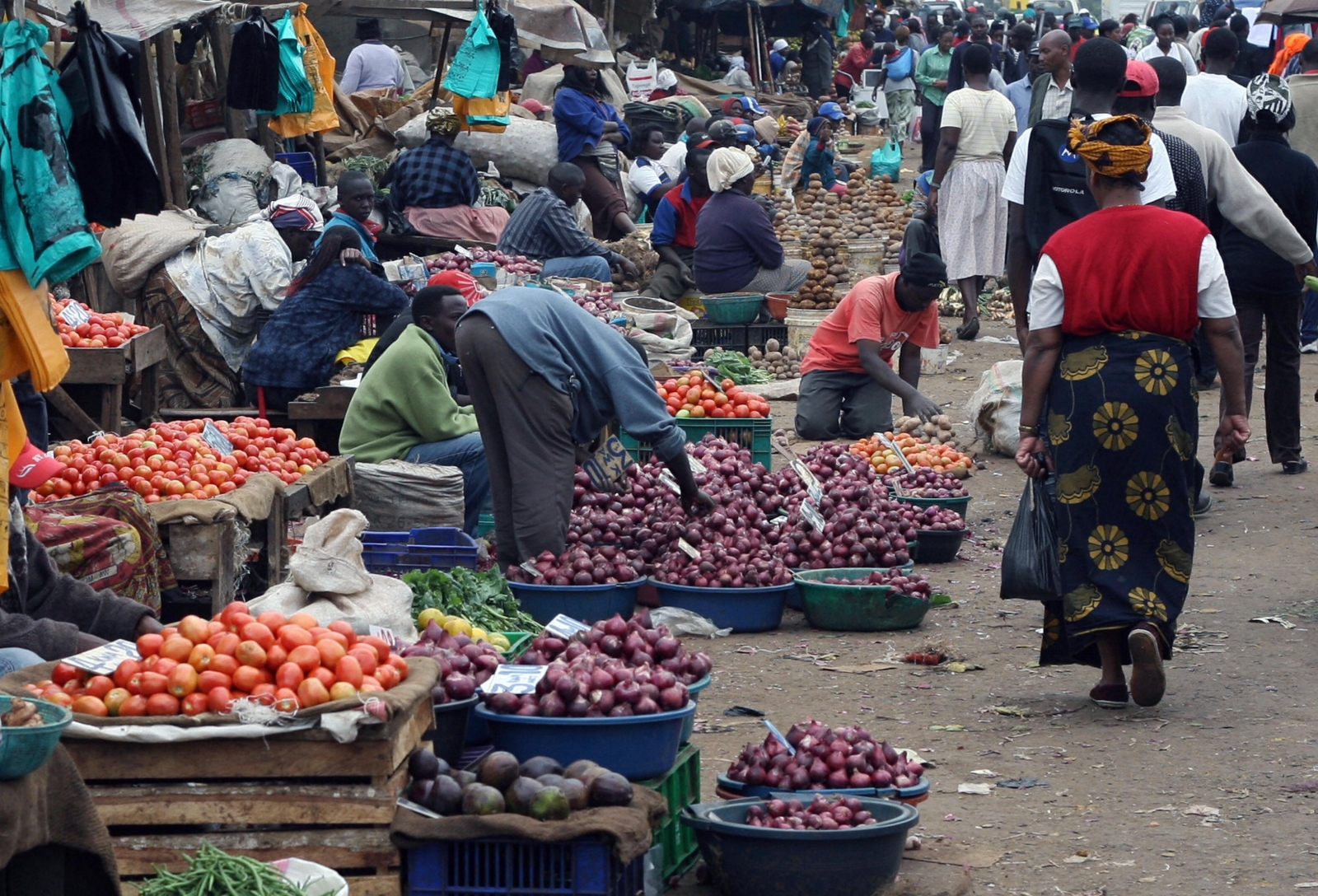 Global Hunger: UN Food Agency Warns One in Nine Worldwide ...