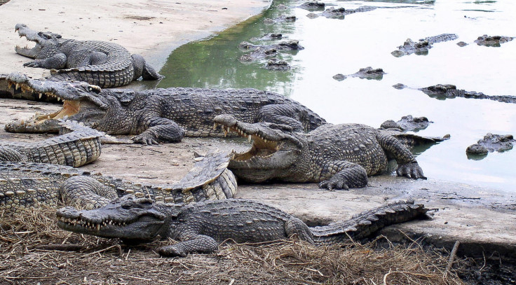 Wanpen Inyai was eaten alive by crocodiles at Bangkok Zoo in Thailand in suicide