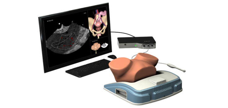 3D Systems' Simbionix Basic Gyn TVS Module lets doctors practice emergency transvaginal procedures while simulating a real vagina