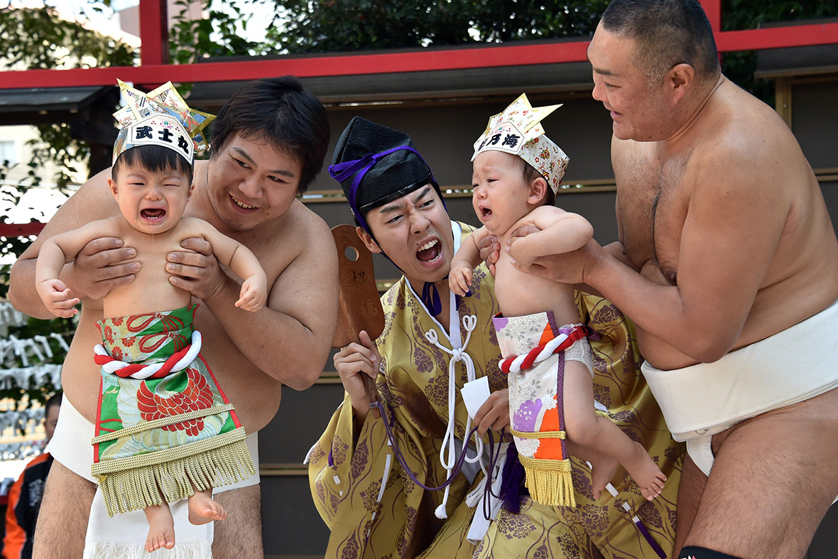 sumo babies