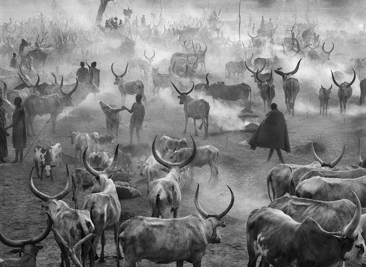 Sebastiao Salgado, Dinka Cattle Camp, Southern Sudan, 2006