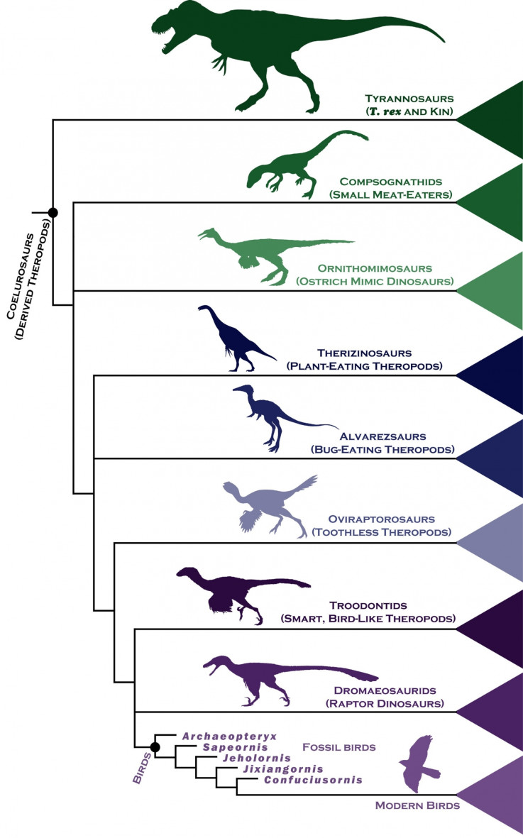 dinosaur evolution timeline