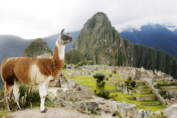 The Lost City - Machu Picchu (PHOTOS)