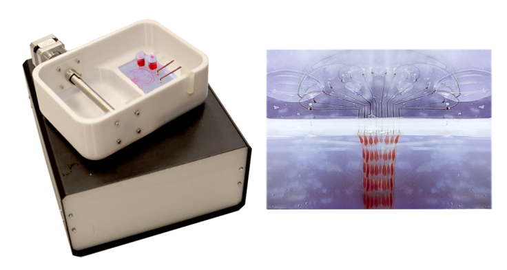 The PrintAlive Bioprinter - a 3D printer that can print a "living bandage" from skin cells, capable of treating severe burns