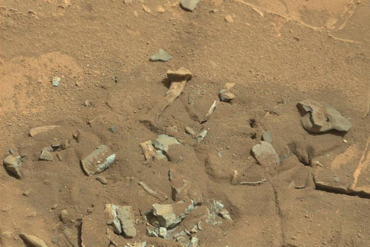 thigh bone on Mars