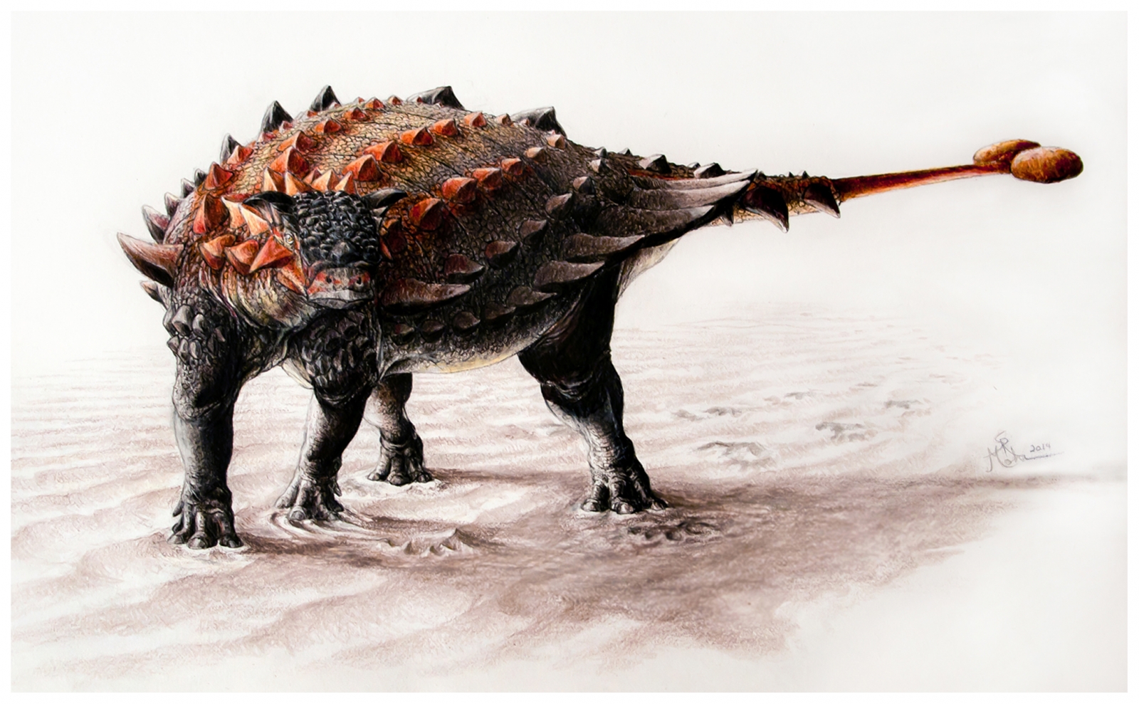 spiked-armoured-dinosaur-ziapelta-discovered-in-new-mexico-has