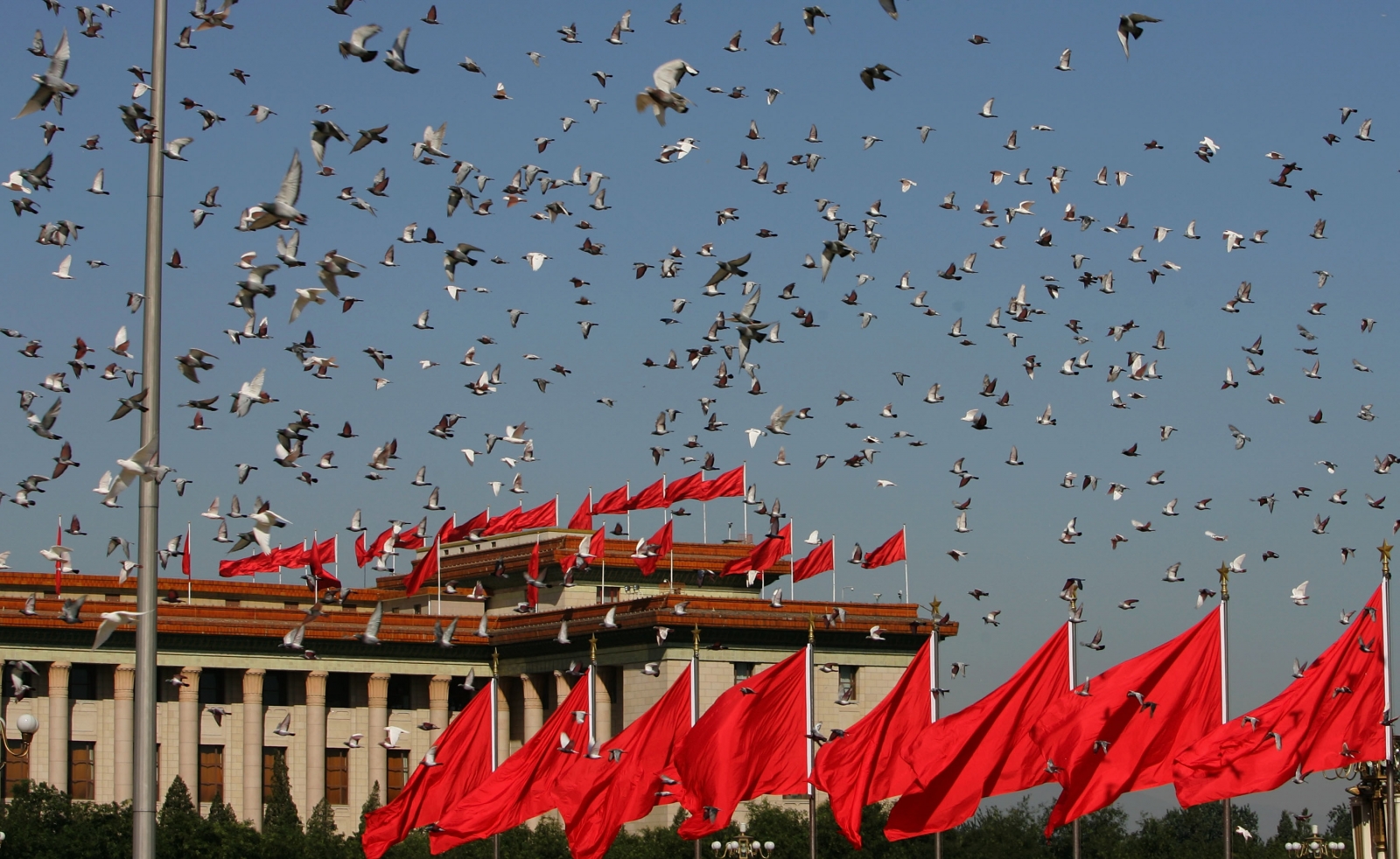 Tiananmen Square Doves Great Hall of the People