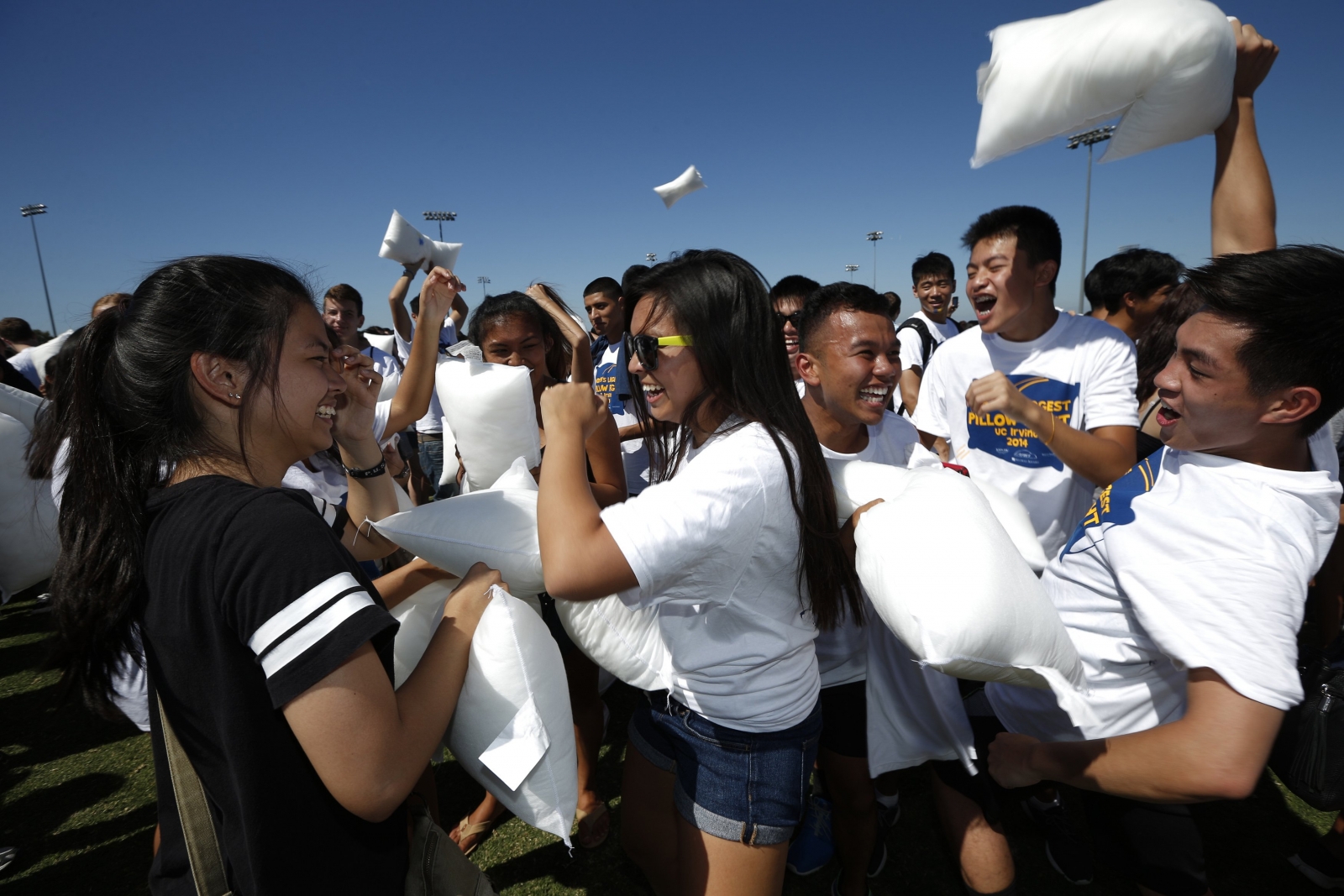 Pillow Fight Record Takes a Pounding IBTimes UK
