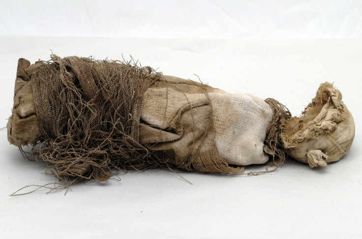 A mummified foetus found beneath the St. John the Evangelist church in the village of Casentino, L'Aquila