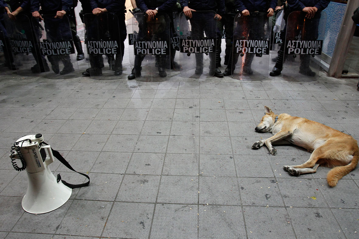 Loukanikos Greece riot dog