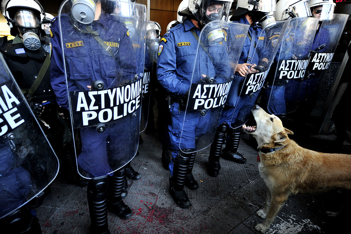 Loukanikos Greece riot dog