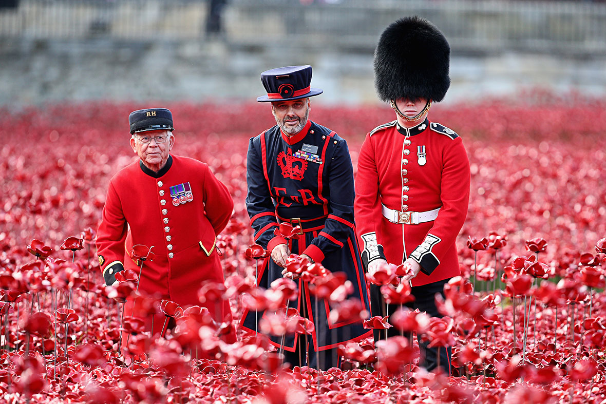 tower of london poppies