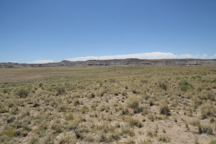 Petrified Forest National Park